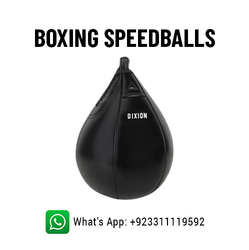 Professional speed bag